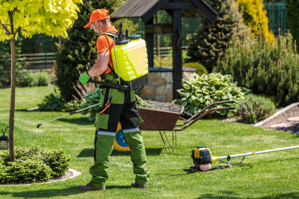 Best Pest Exclusion Services  in Salmon Creek, WA